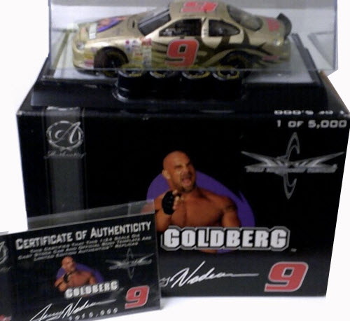 1999 Jerry Nadeau NASCAR Diecast 9 WCW Goldberg CWC 1:24 Racing Champions Authentics 1b