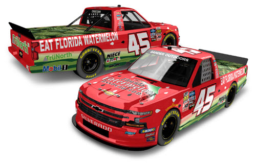 2019 Ross Chastain NASCAR Diecast 45 Florida Watermellon Truck Supertruck 1:64 Lionel Action ARC 99