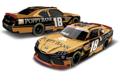 2021 Daniel Hemric NASCAR Diecast 18 Poppy Bank Xfinity Series Champion CWC 1:64 Lionel Action ARC 99